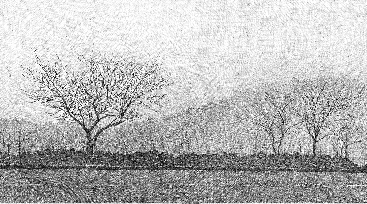 한국_제주_안개_나무_포스터